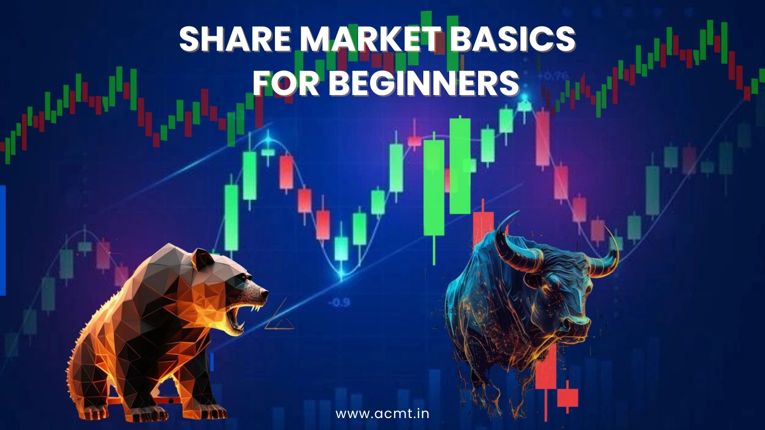 Share Market Basics for Beginners!